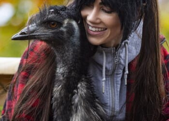 Egg-static: Bird lover Rhi Evans bought an emu egg online three years ago during a late night shopping spree - and is now raising the bird as one of the family