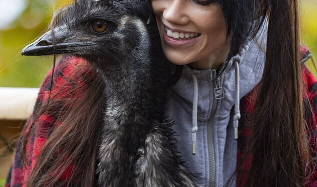 Egg-static: Bird lover Rhi Evans bought an emu egg online three years ago during a late night shopping spree - and is now raising the bird as one of the family