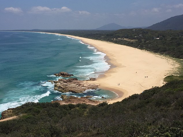 Surrounding beaches will be closed for at least 24 hours while Surf Life Saving NSW deploys drones to locate the shark and monitor for ongoing risks