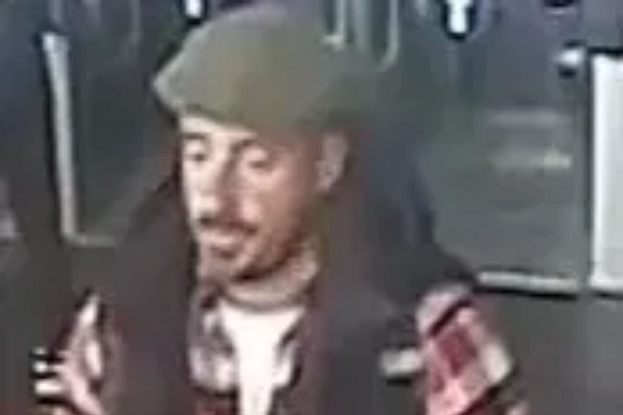 An image collage containing 1 images, Image 1 shows Man with a goatee wearing a plaid shirt, dark vest, and green flat cap