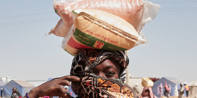 Women flee El Fasher with children, but often without husbands