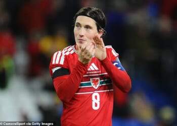 Craig Bellamy’s side have been drawn at home against Bosnia and Herzegovina in their play-off semi-final, while Northern Ireland or Italy awaits them in the final if they are successful