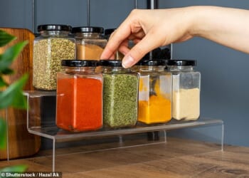 A chef has revealed the only 12 spices you need, as well as sharing tips on how best to use them (stock image)