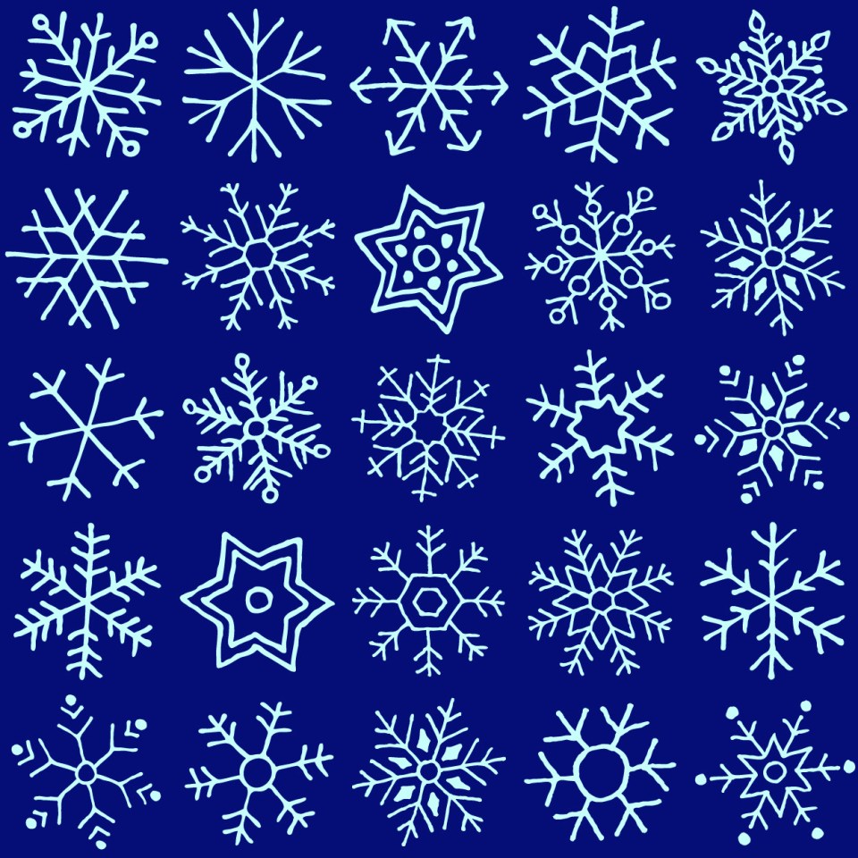 Illustration of a grid of various snowflake designs.