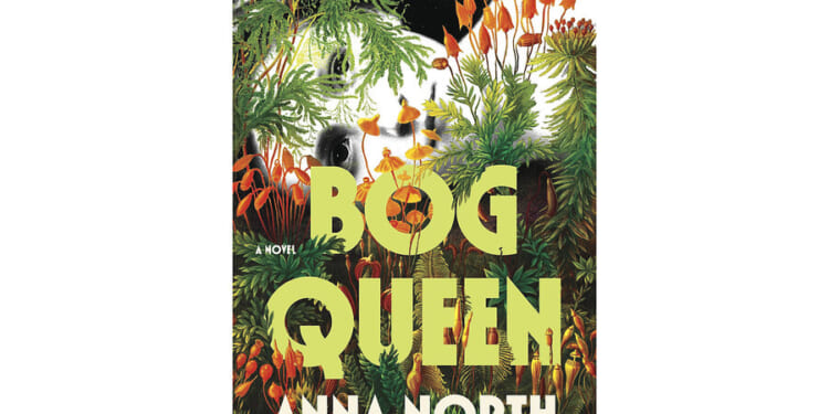 ‘Bog Queen’ by Anna North exposes layers of ambitions and secrets