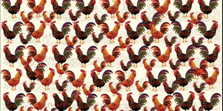 Everyone can see the roosters but only those with 20/20 vision will spot the chickens in under 10 seconds