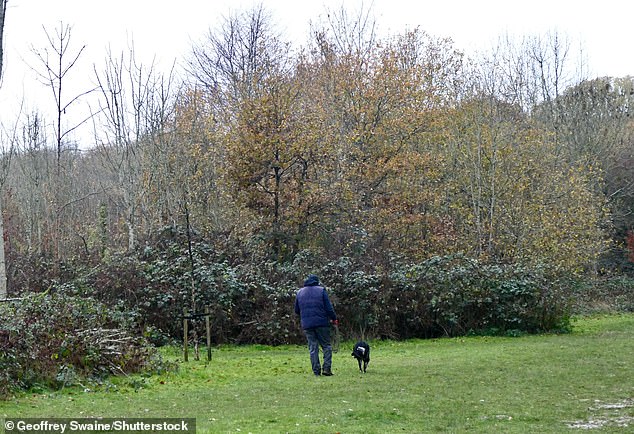 A dog walker out during a wet morning in the Oxfordshire countryside at Dunsden today