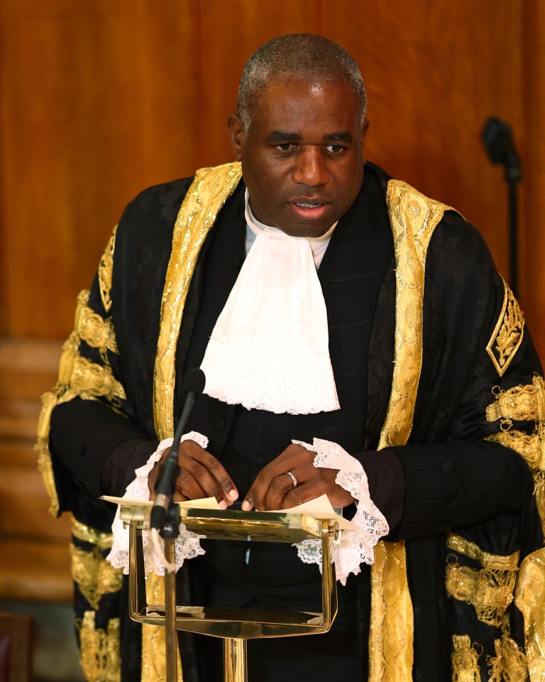 Man in a black and gold ceremonial robe and white jabot addressing a banquet.