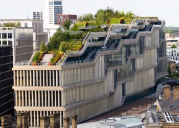 Foxes have beaten Google to the roof of its new HQ after opening of £1billion 'landscraper' pushed back