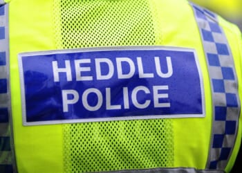 Drunk 'twerking' female cop 'squeezed colleague's breasts and grabbed male officer's genitals' at party