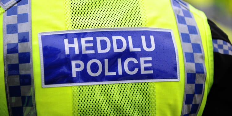 Drunk 'twerking' female cop 'squeezed colleague's breasts and grabbed male officer's genitals' at party