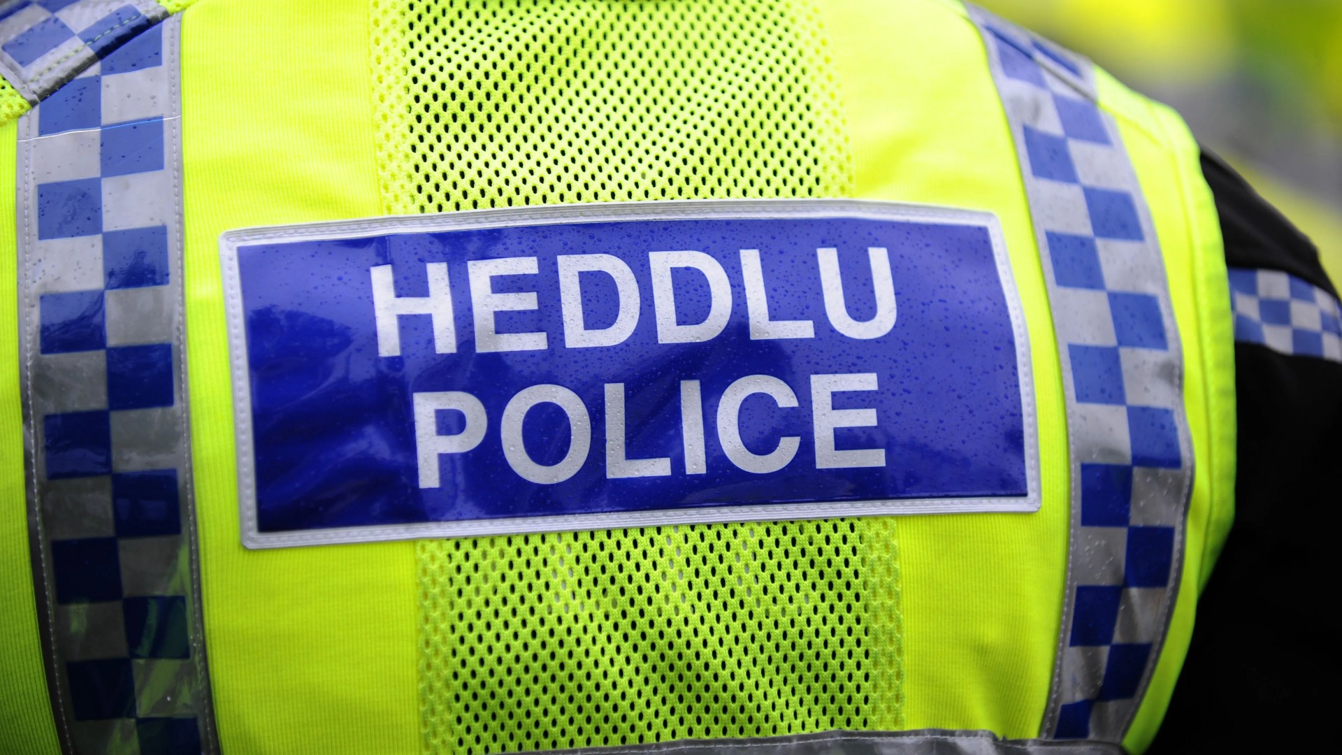 Drunk 'twerking' female cop 'squeezed colleague's breasts and grabbed male officer's genitals' at party