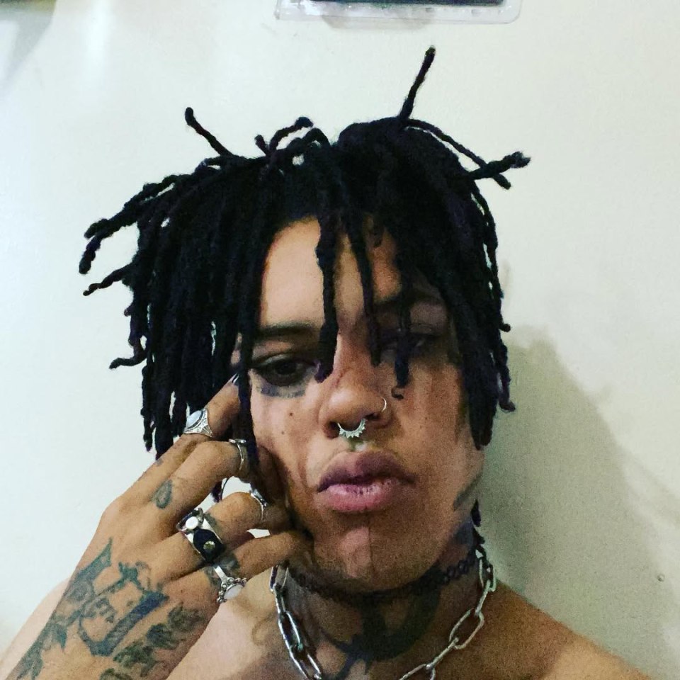 NINTCHDBPICT001042581247