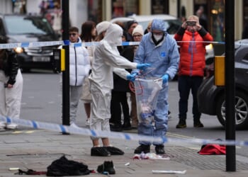 Driver 'killed man and tried to hit baby as he mounted pavement and ploughed into pedestrians in Christmas Day rampage'