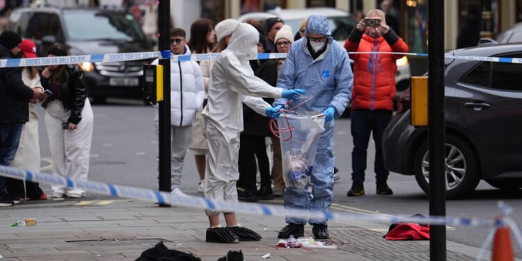 Driver 'killed man and tried to hit baby as he mounted pavement and ploughed into pedestrians in Christmas Day rampage'