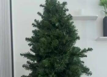How to transform your squashed, dodgy-looking artificial tree and make it look really expensive and full for £1