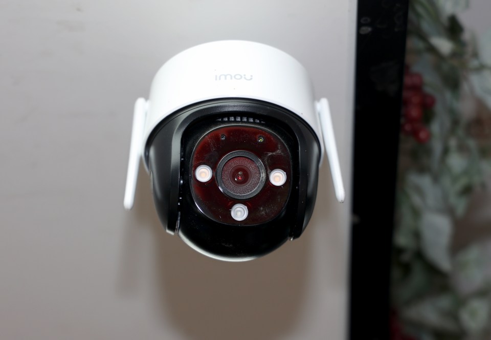 NINTCHDBPICT001017598717