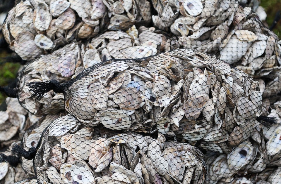 Florida News, Tierra Verde, USA - 01 Dec 2025