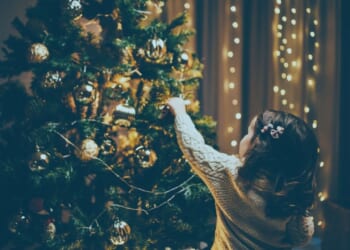 Major UK supermarket is selling Christmas trees for just £11