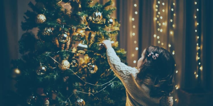 Major UK supermarket is selling Christmas trees for just £11