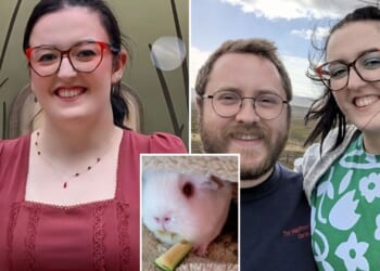 I thought I was just under the weather after my guinea pig died