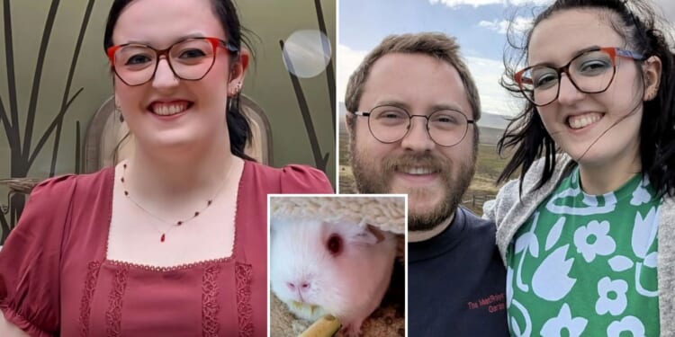 I thought I was just under the weather after my guinea pig died