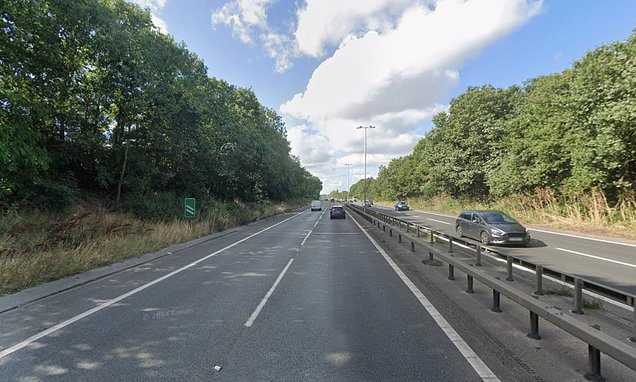 A two-lane highway with cars on the road, surrounded by trees on both sides.