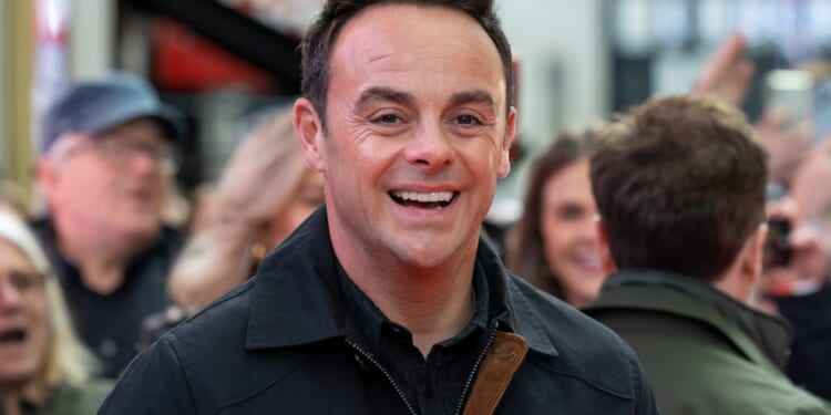I'm A Celeb's Ant McPartlin rakes in massive sum after selling his seven-bed London mansion amid planning row