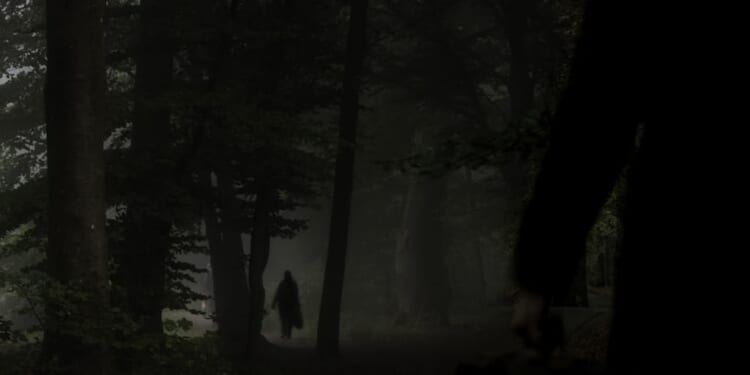 Murders for December | Jeremy Black