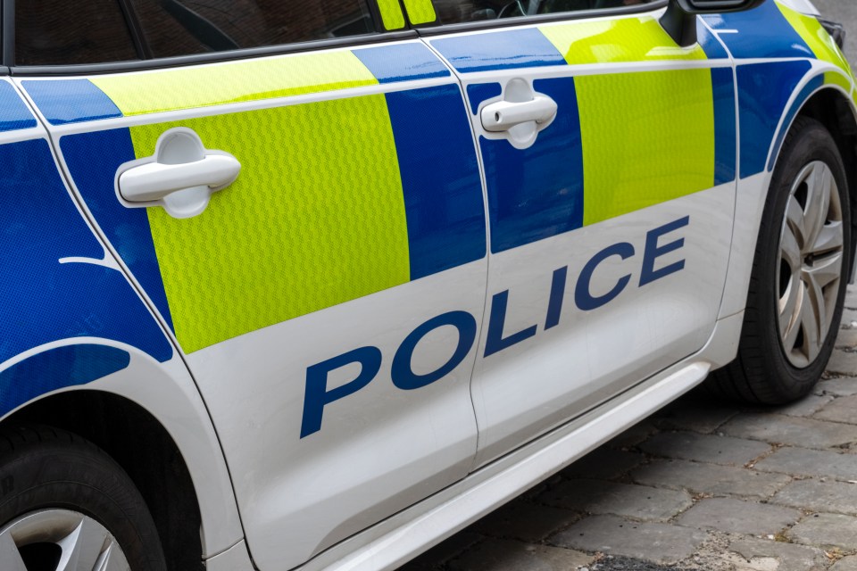 Close Up Of United Kingdom Police Patrol Response Car With Battenberg Markings
