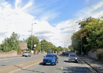 Woman, 83, dies after being struck by car in hit-and-run while 'popping to the shops' as cops launch urgent appeal