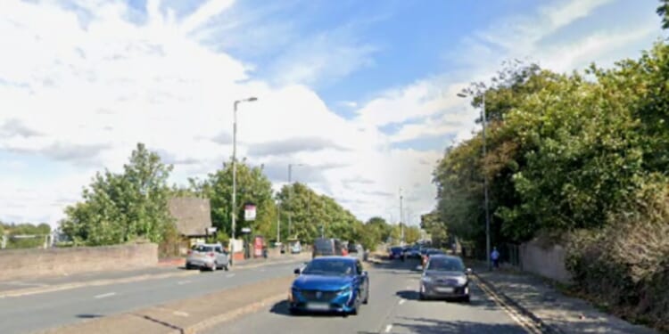 Woman, 83, dies after being struck by car in hit-and-run while 'popping to the shops' as cops launch urgent appeal