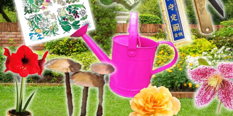 16 Christmas gifts for gardeners under £40
