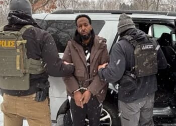 12 arrested in Minneapolis ICE crackdown as White House lifts lid on '$1bn Somali fraud scheme & Dems were complicit'