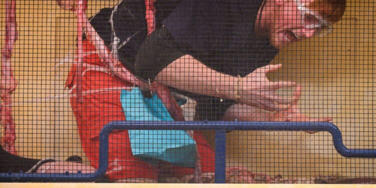 Watch the moment Angry Ginge snaps at Ant and Dec in tense trial and swears at them for laughing