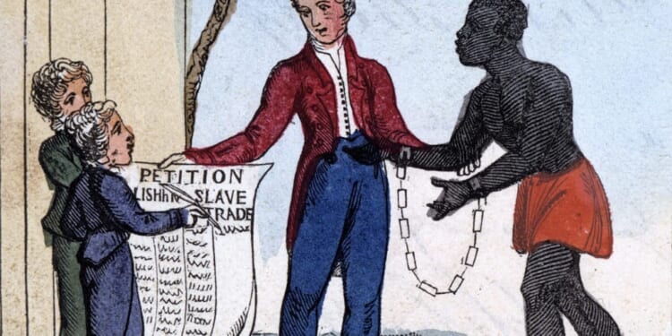 The folly of self-flagellation | Samuel Rubinstein