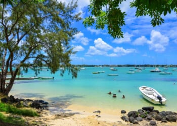 From ziplines and dolphins to memorable food