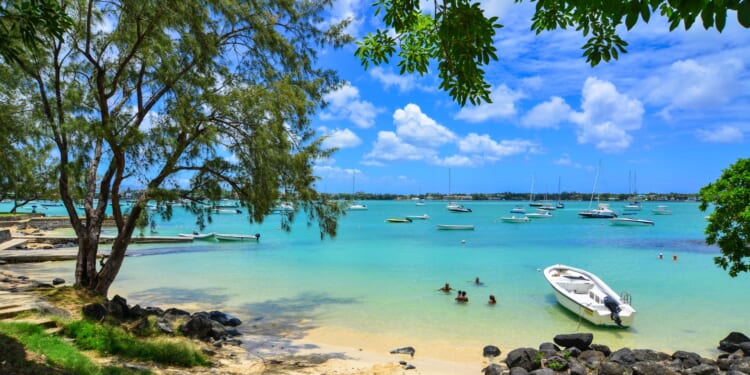 From ziplines and dolphins to memorable food