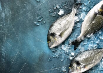 Five savvy ways to land a good deal & tuck into fish suppers for less