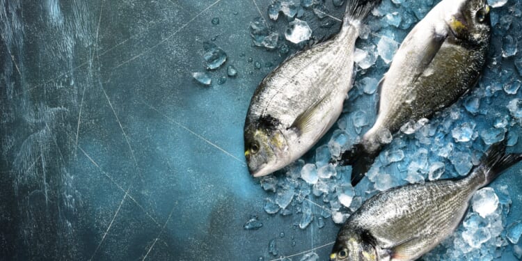 Five savvy ways to land a good deal & tuck into fish suppers for less