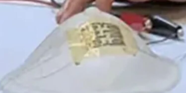 Nicotine-style patch which connects to smartphone could detect breast cancer before doctors, say Brit scientists