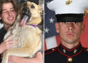 Tragedy as Marine, 21, dies in training accident as grieving family pay tribute to 'true soldier'