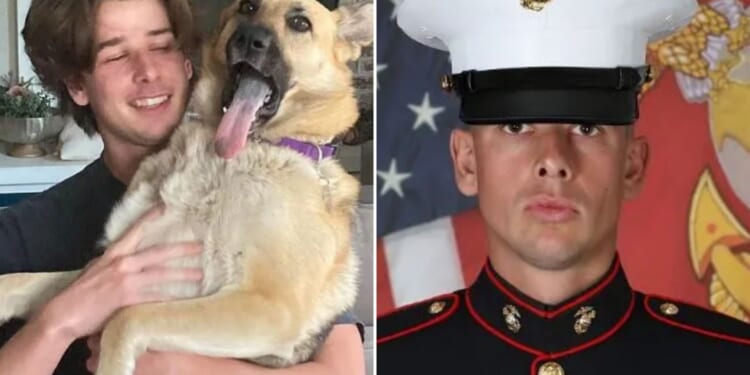 Tragedy as Marine, 21, dies in training accident as grieving family pay tribute to 'true soldier'