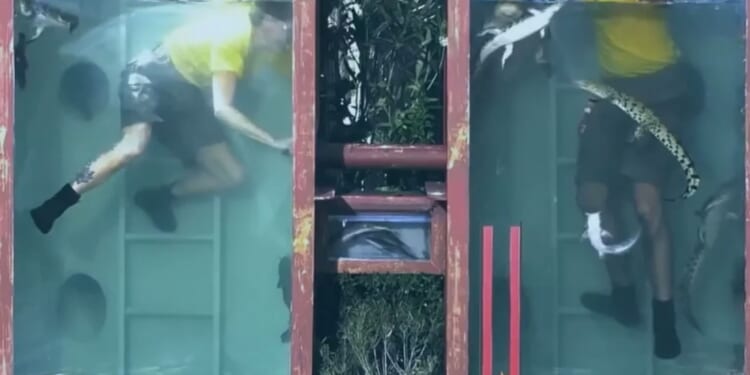 First look at I'm A Celebrity All Stars as huge new trials are revealed