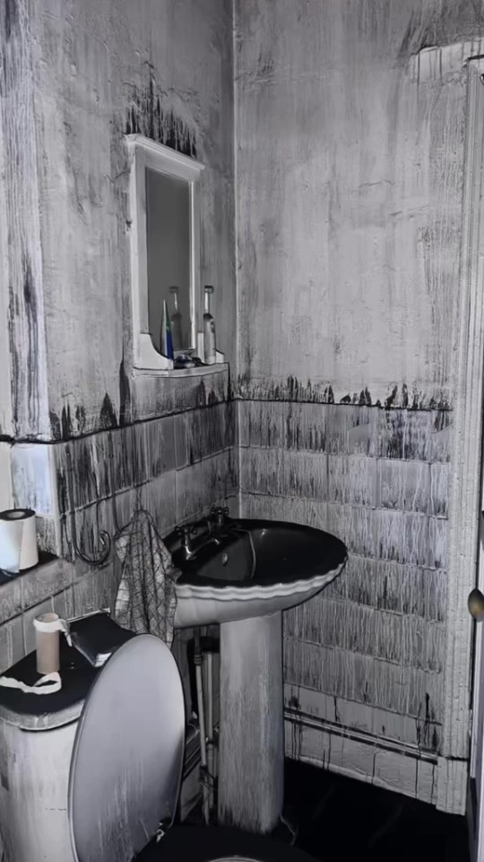 NINTCHDBPICT001044271537