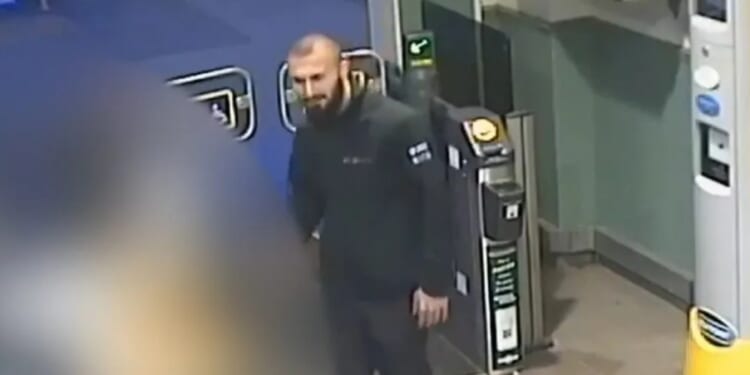 Dinghy migrant who sexually assaulted woman on train & gave her thumbs up will be back on UK streets in just WEEKS