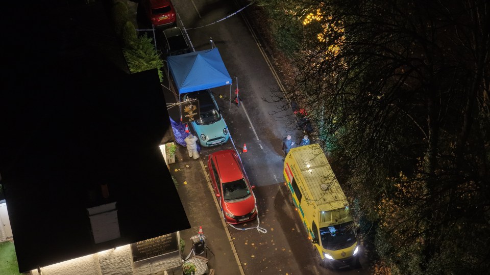 Murder probe launched after fatal stabbing outside Wheatsheaf pub in Ewell