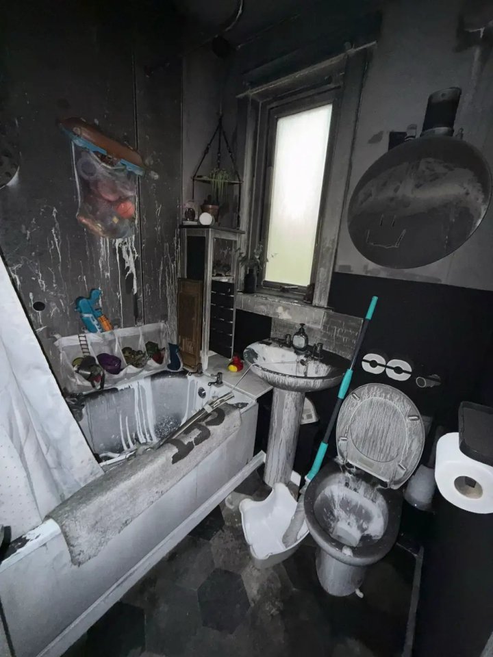 NINTCHDBPICT001044742408