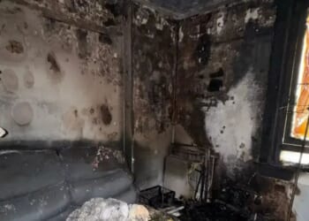 See shocking photos of house fire that killed woman's pets as she begs people to 'never forget to blow out your candles’