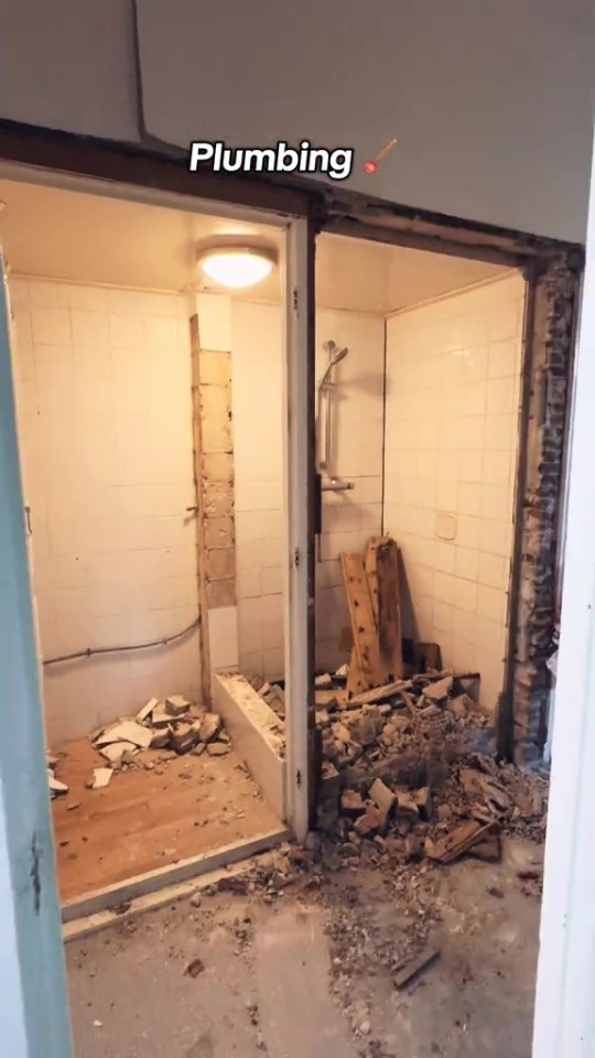 NINTCHDBPICT001044753604